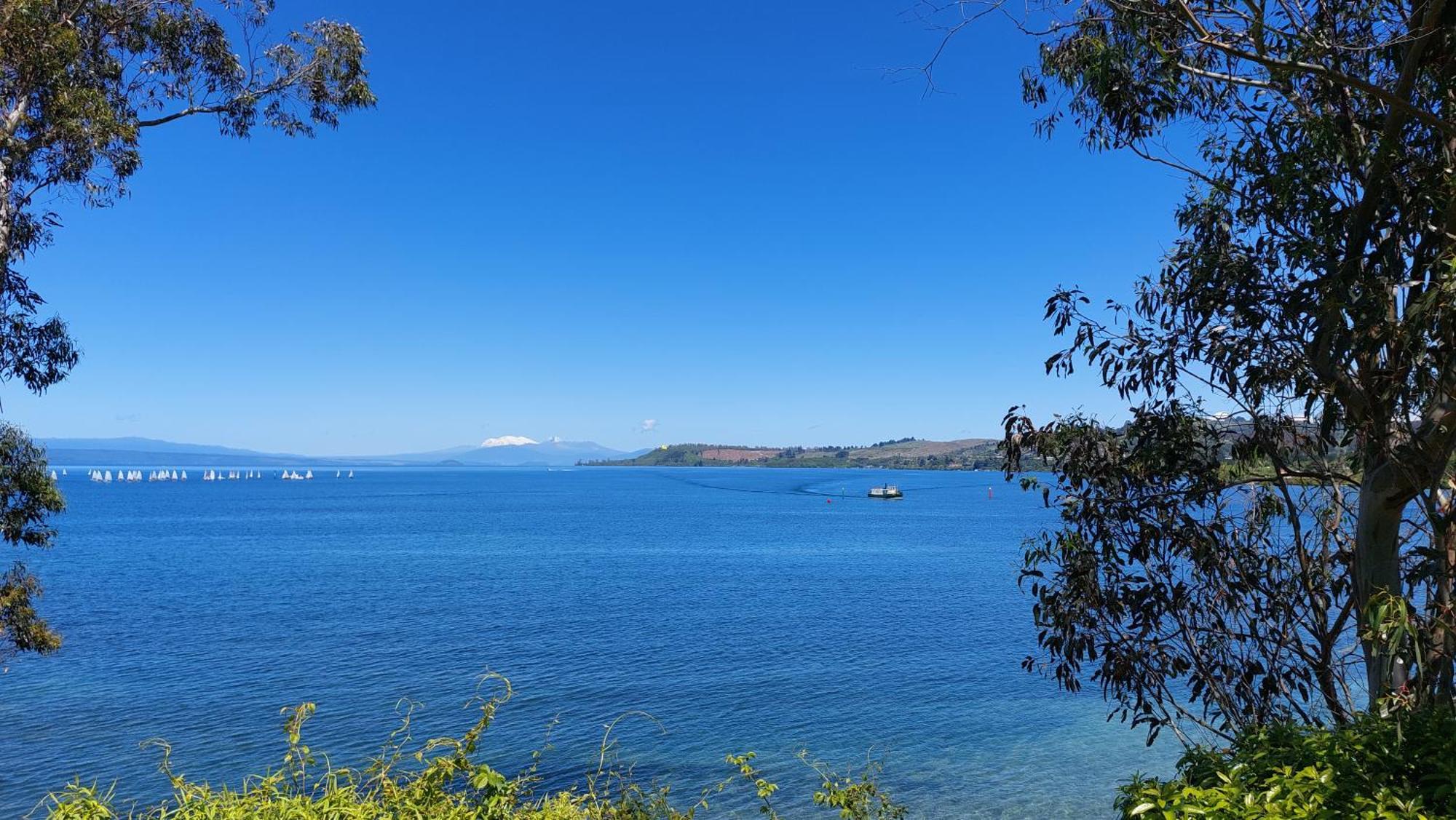 Bed And Breakfast Happy Home Taupo Accommodation מראה חיצוני תמונה